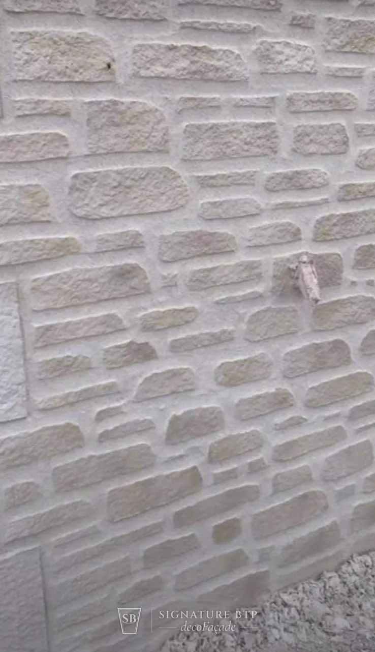 Détail d’un appareillage de pierres sculptées dans l’enduit